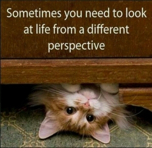Perspective Best Practice Blog photo